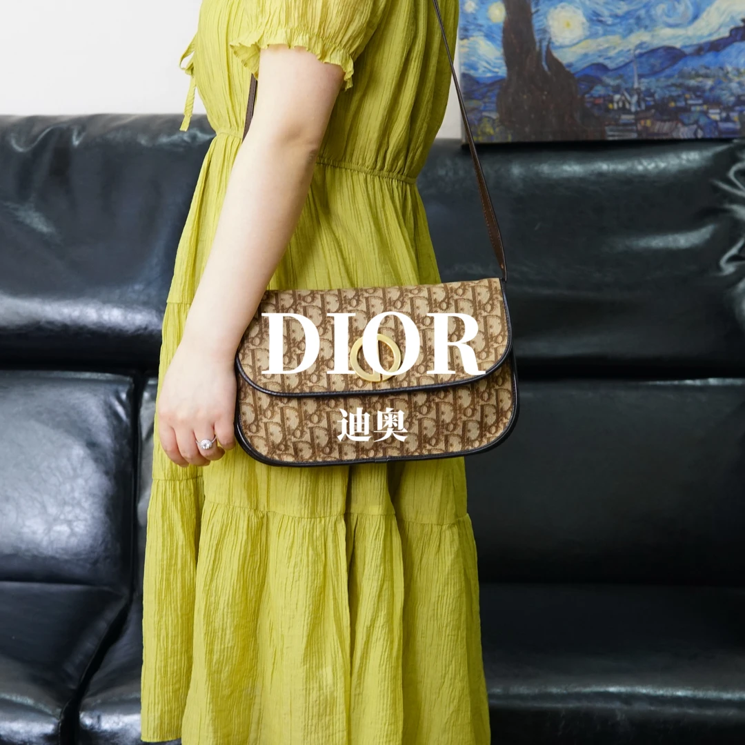 95新 DIOR/迪奥 老花单肩包/EE04727059/7059