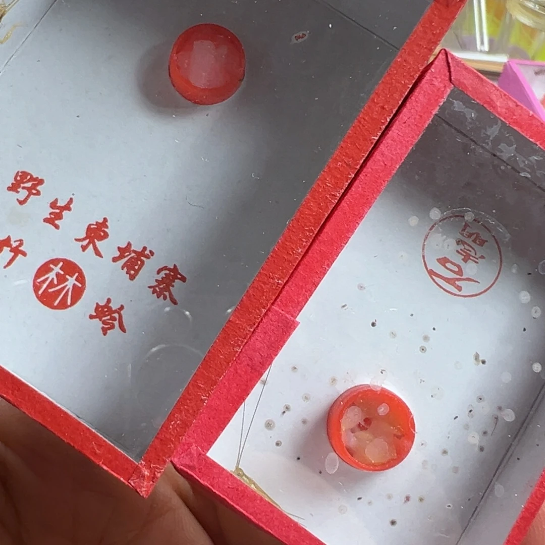 蟋蟀一只石老师短须冬黄➕一只柬埔寨