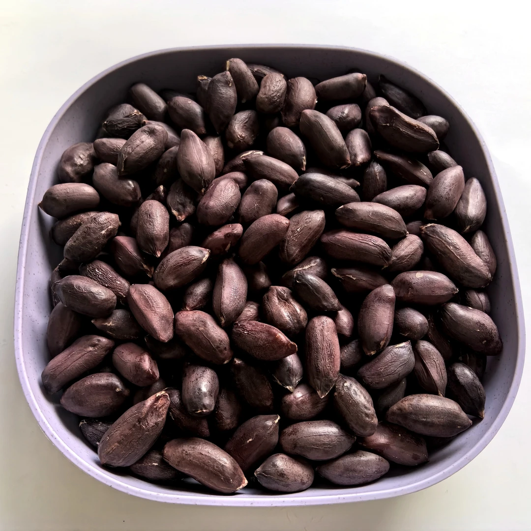 雨然康平黑花生米产自东北黑土地精挑细选粒粒饱满当季黑花生