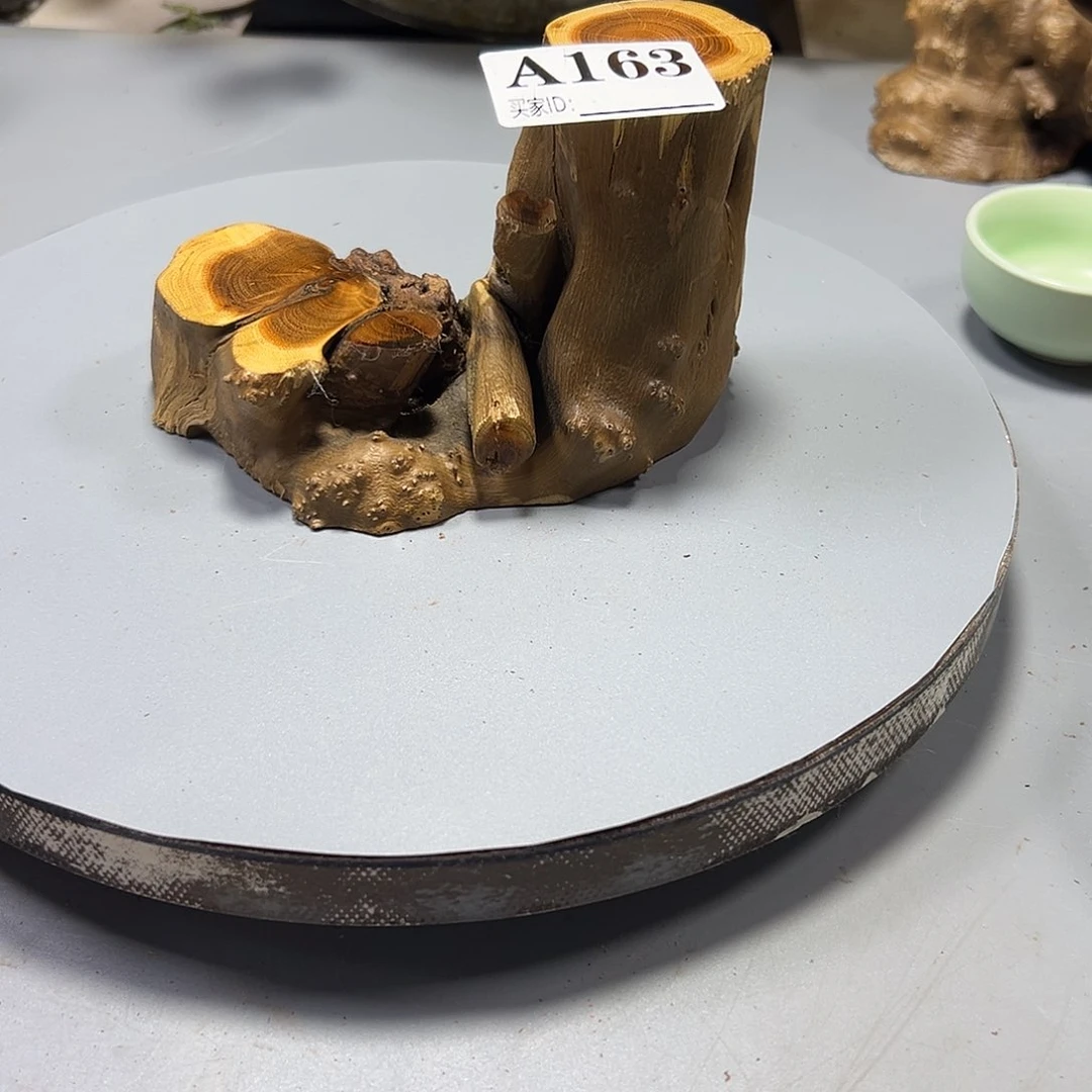 比***～大果紫檀（缅甸花梨）