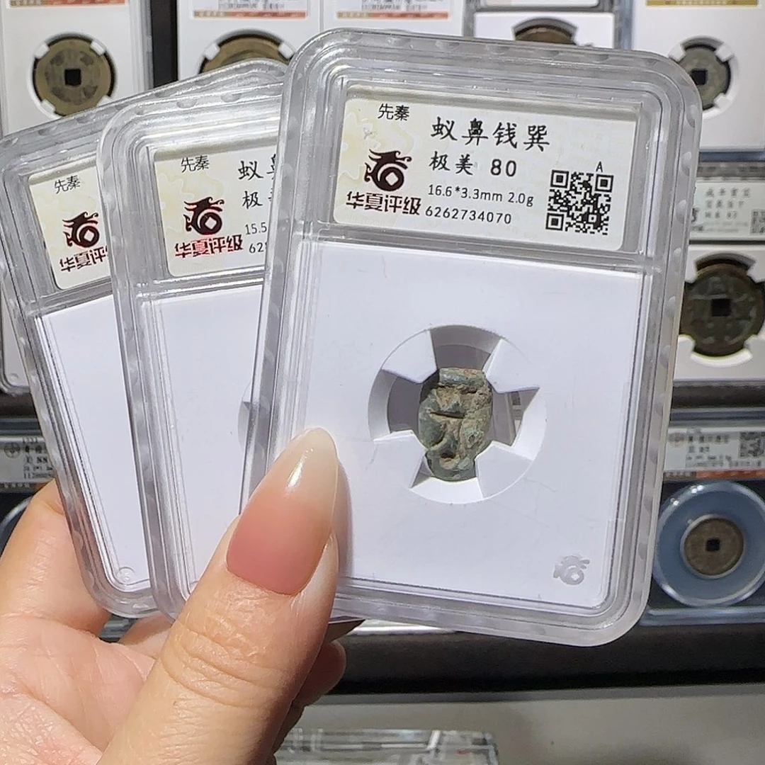 铜蚁鼻80同分发。。。。。。5#