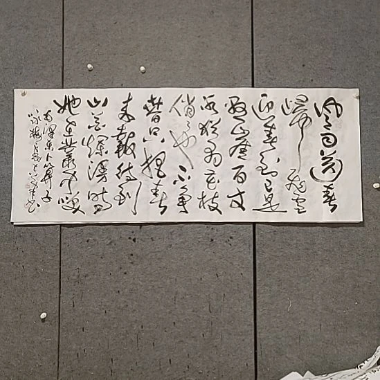 书法宋秉民。卜算子咏梅。180X69