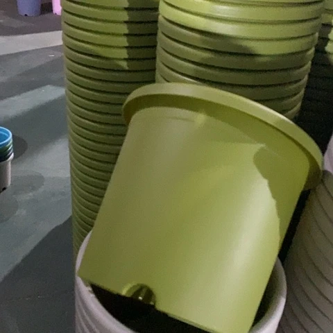 树脂四季5号果绿无托6个微瑕