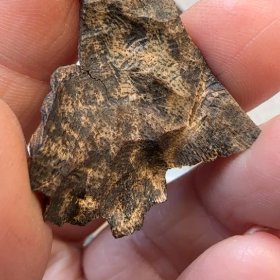 沉香摆件香港1.8克野沉水包头