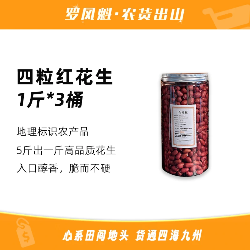 【专属精品桶装】2025年新米 东北特产出口级四粒红花生3斤（3桶）