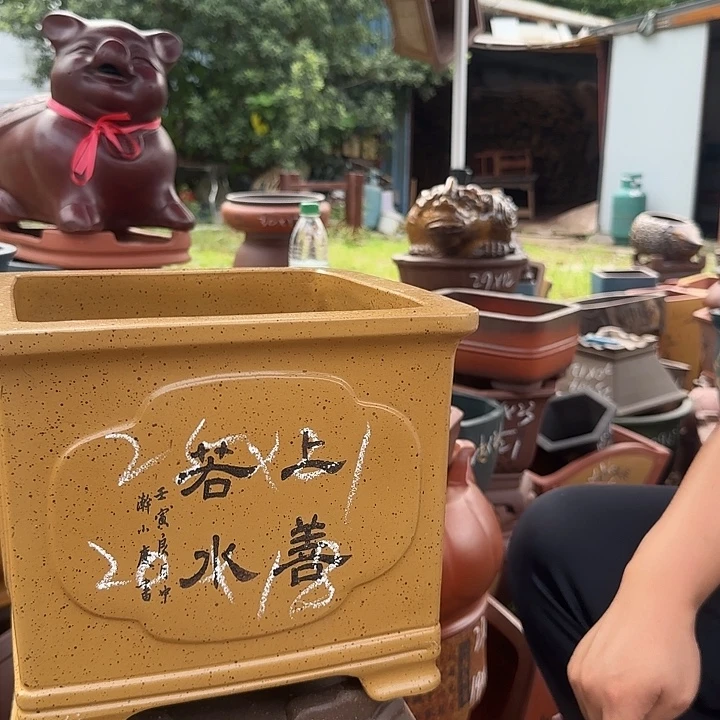 紫砂花盆紫砂花盆