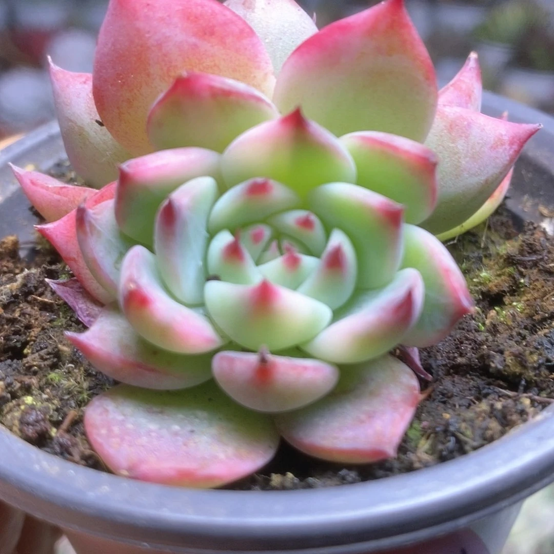 D060哈哈哈哈哈哈哈哈哈哈