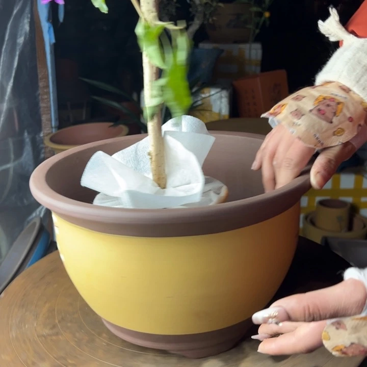 紫砂宜兴紫砂花盆005中