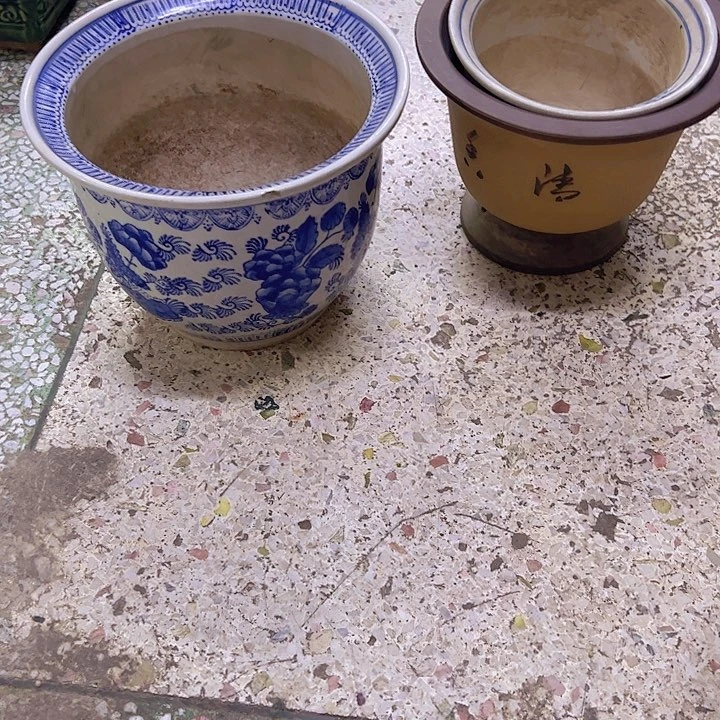 人***天。。。。。。。。。。。。。。。。。