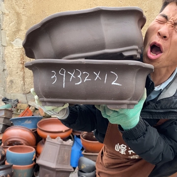 红陶你的人生就是这样的