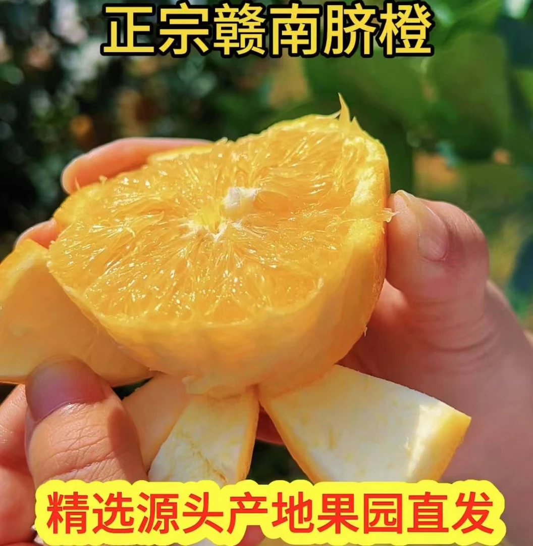 【3号】福利试吃3斤装正宗赣南脐橙产地果园直发（同等的鲜甜爆汁）
