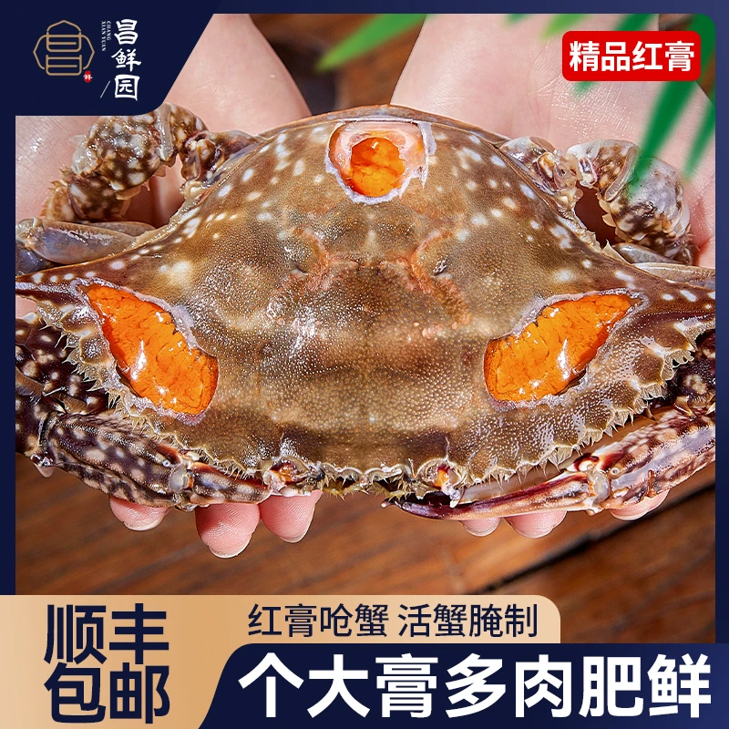 S 大号舟山宁波特产舟山精品红膏呛蟹 4两左右/只