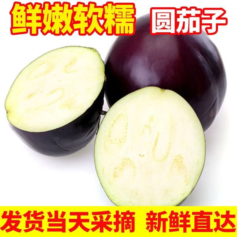 【带箱五斤】紫光圆茄现摘现发新鲜农家蔬菜