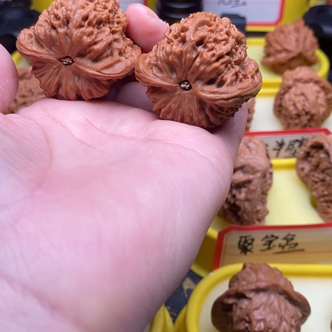 菩提籽类高炮南疆
