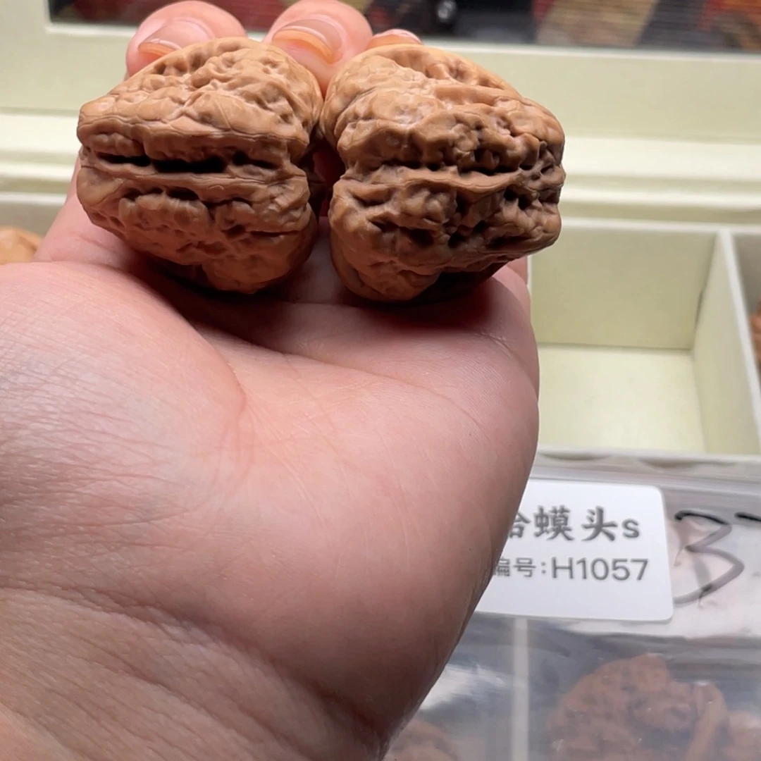 木质类1057蛙蛙蛙蛙