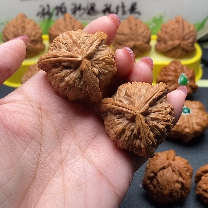 核桃39拼接白狮子