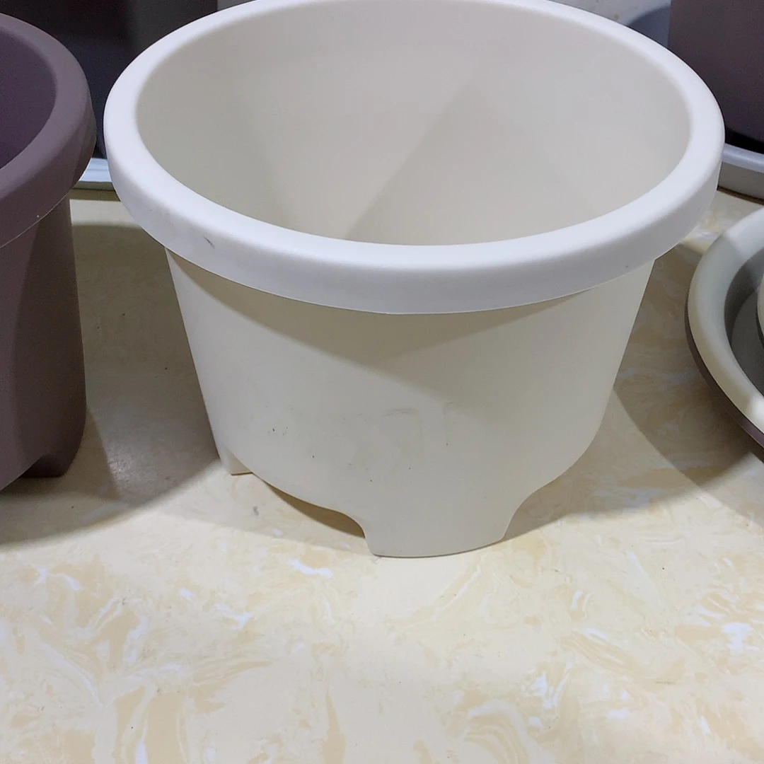 树脂球根口26米白5个无托