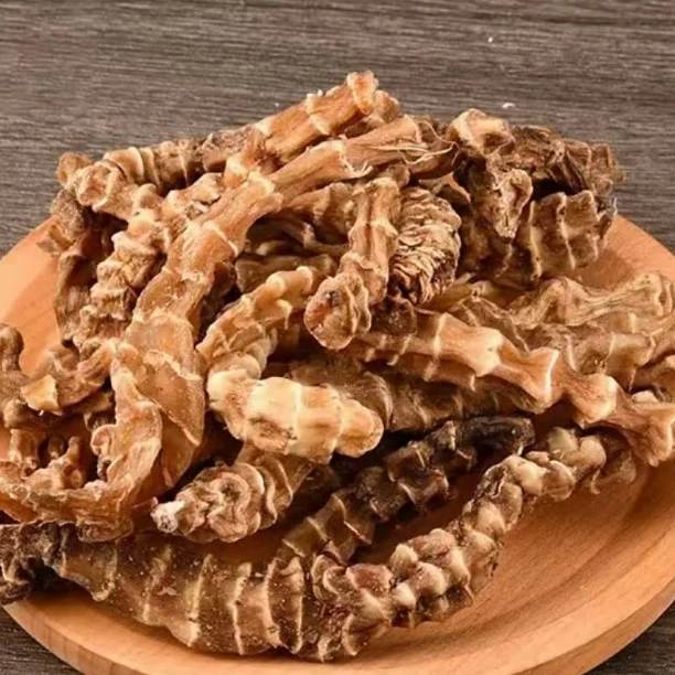 滋补虫草蔘