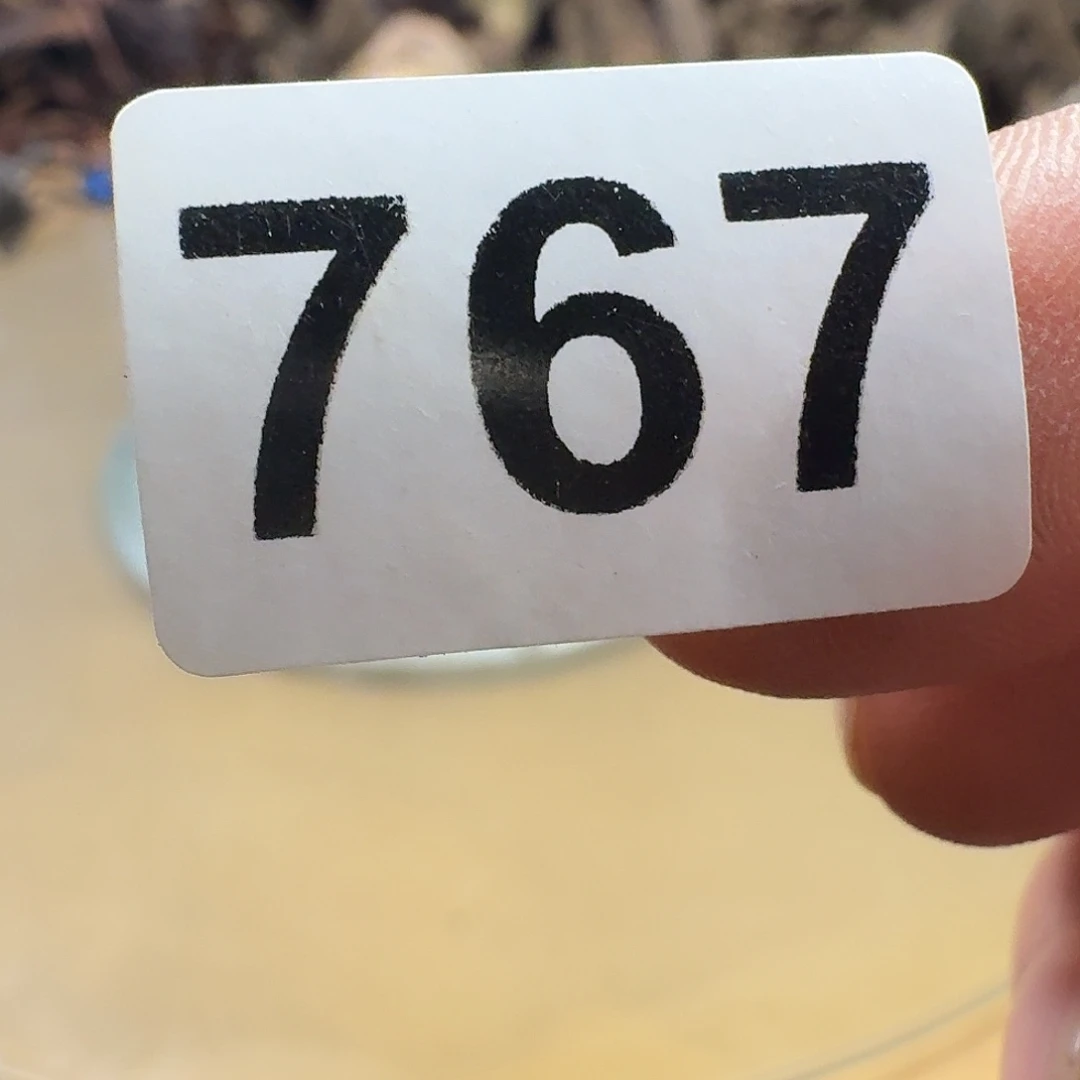 三***川香榧木我也想要这样做的