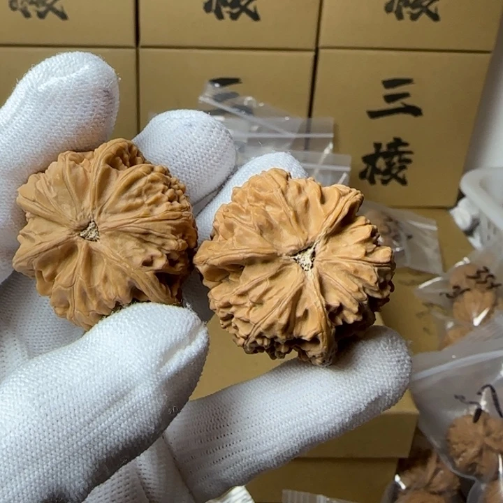 文玩核桃吊坠种****豆38尺寸玉龙三棱