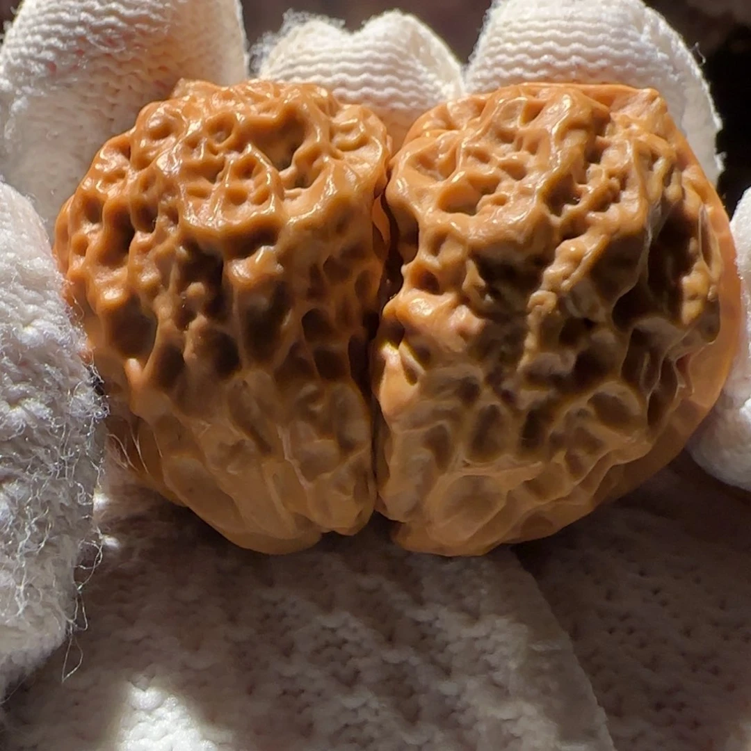 把件文玩核桃兔儿朵