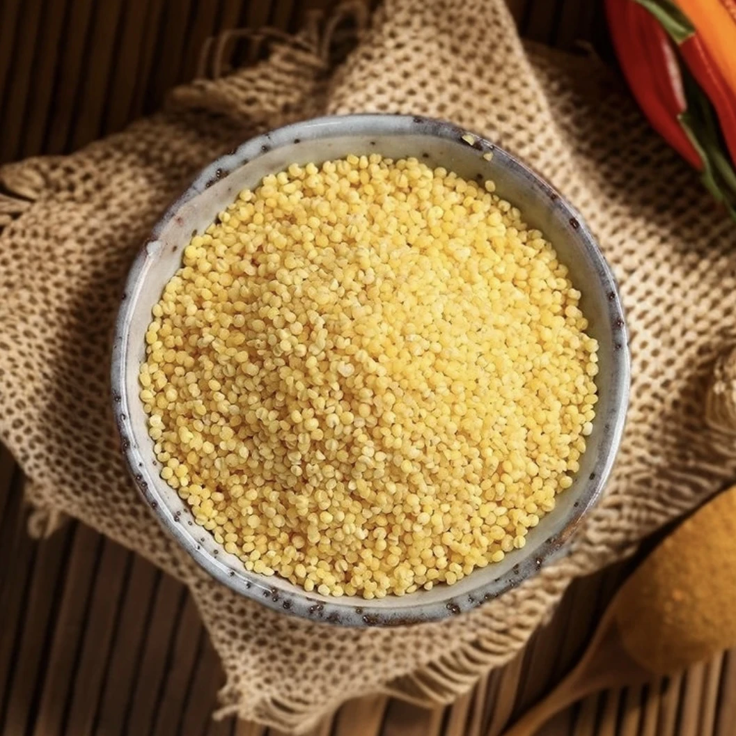 【雪锋代卖老乡干货】农家特产黄小米当季新米金黄饱满稠厚