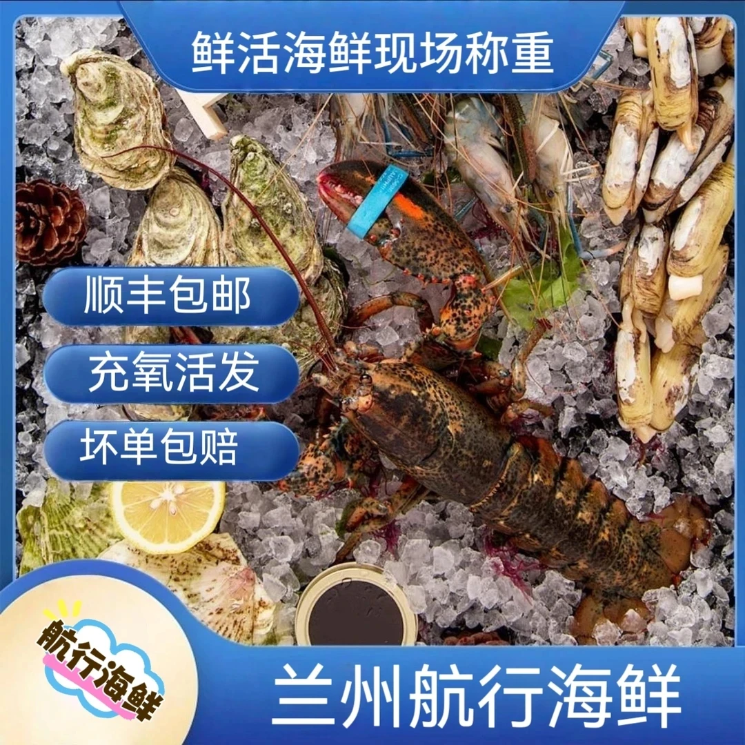 冰鲜海鲜1斤起拍现场称重为准（失水率百分之五）精品