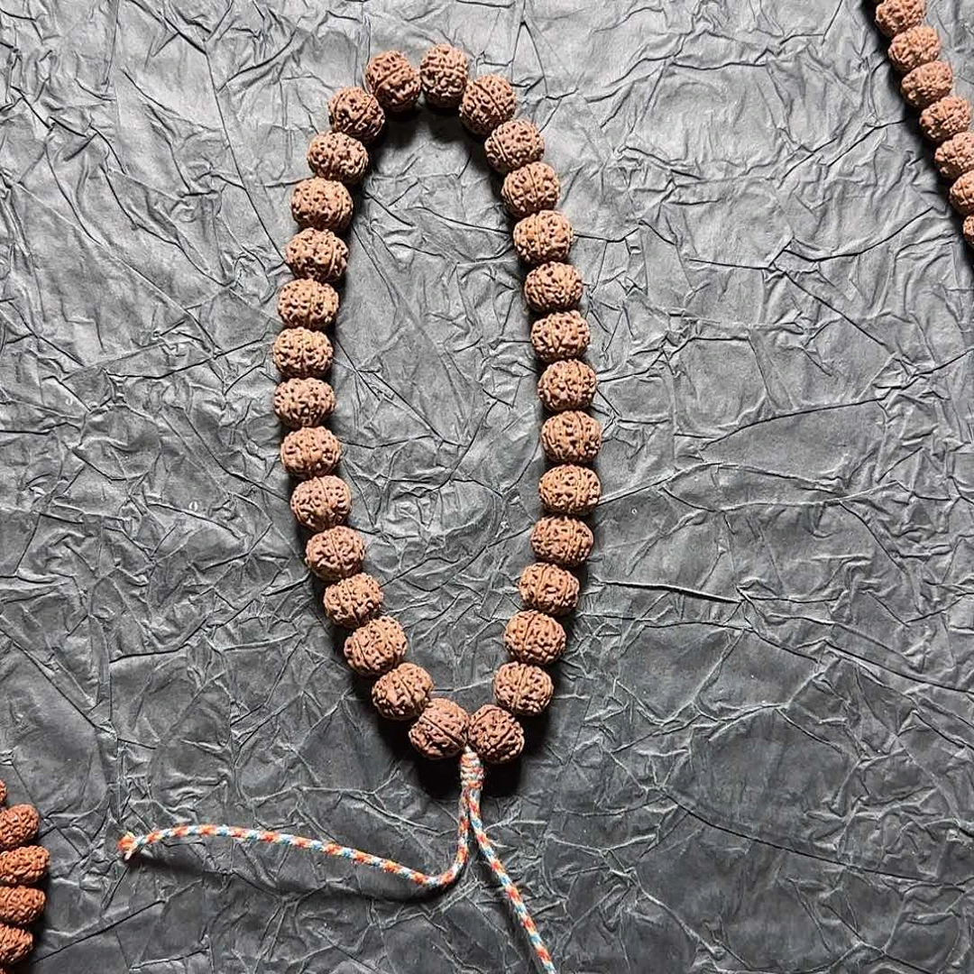 吊坠金刚菩提6瓣，树王