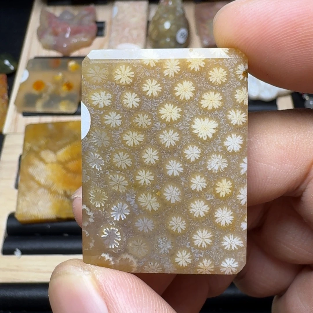 未镶嵌纯天然色有机玉石保真色硅化玉