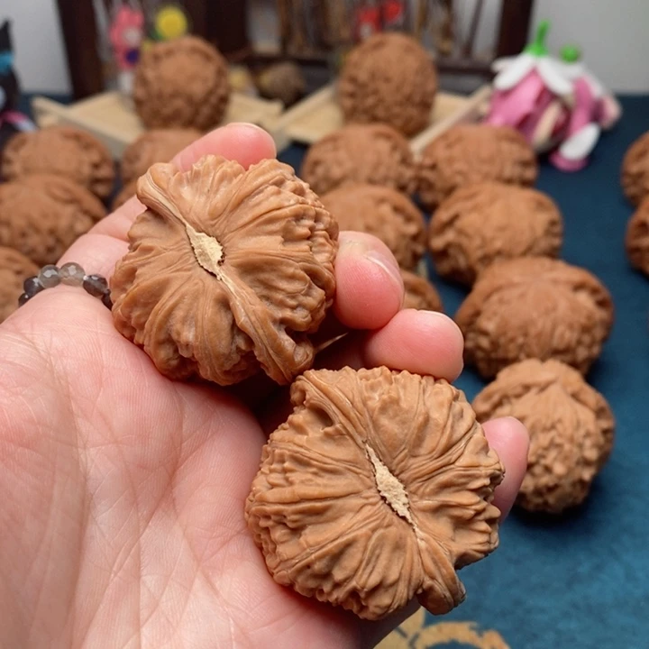 文玩核桃把件C****e白狮子40