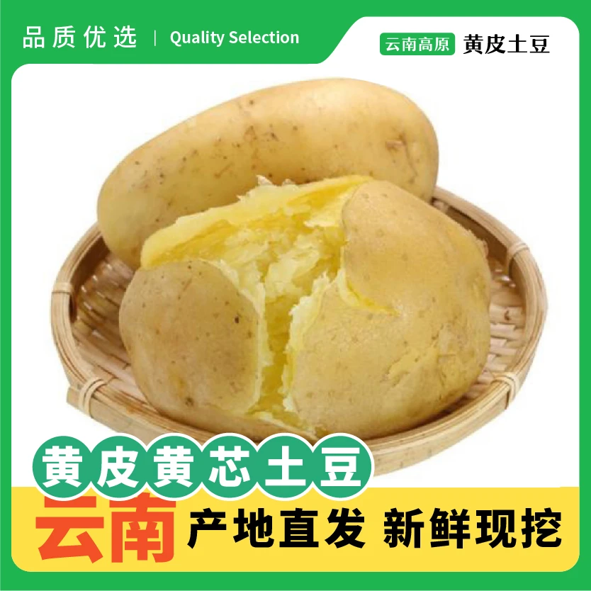 【带箱9-10斤】云南黄皮黄心土豆 农家自种 皮薄粉糯新鲜马铃薯洋芋