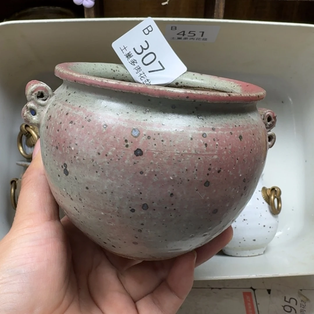 y***r陶瓷艺术设计学与制作