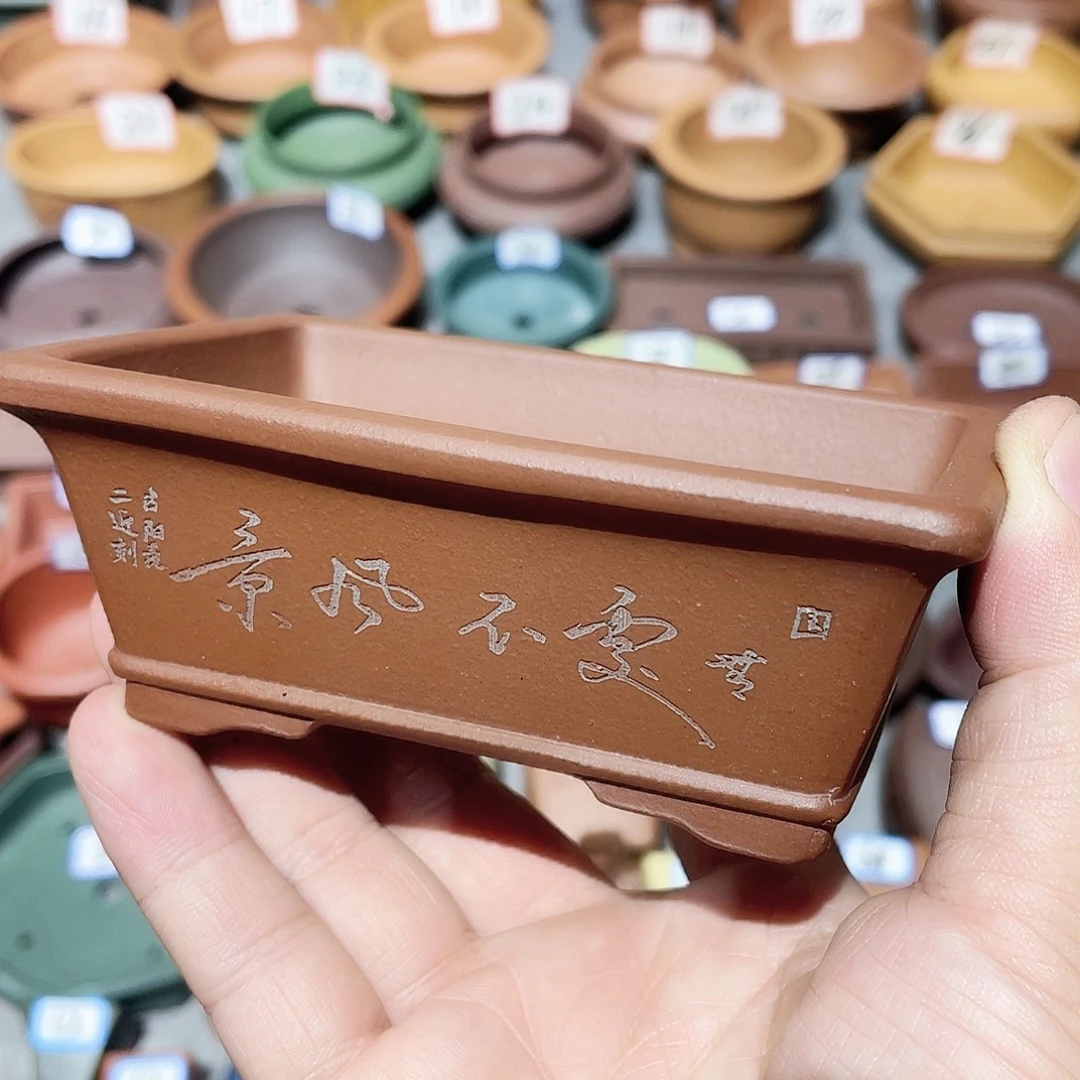 紫砂小盆10*6.5*3.5