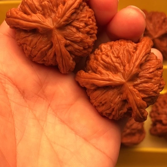 弓***磊核桃核桃核桃核桃核桃