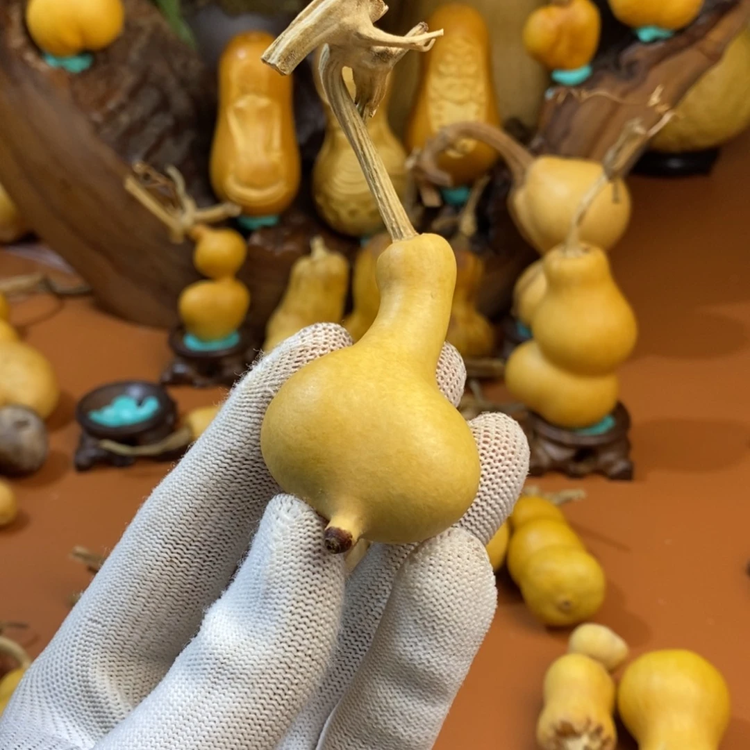 濤***教练咯教练咯教练咯教练咯