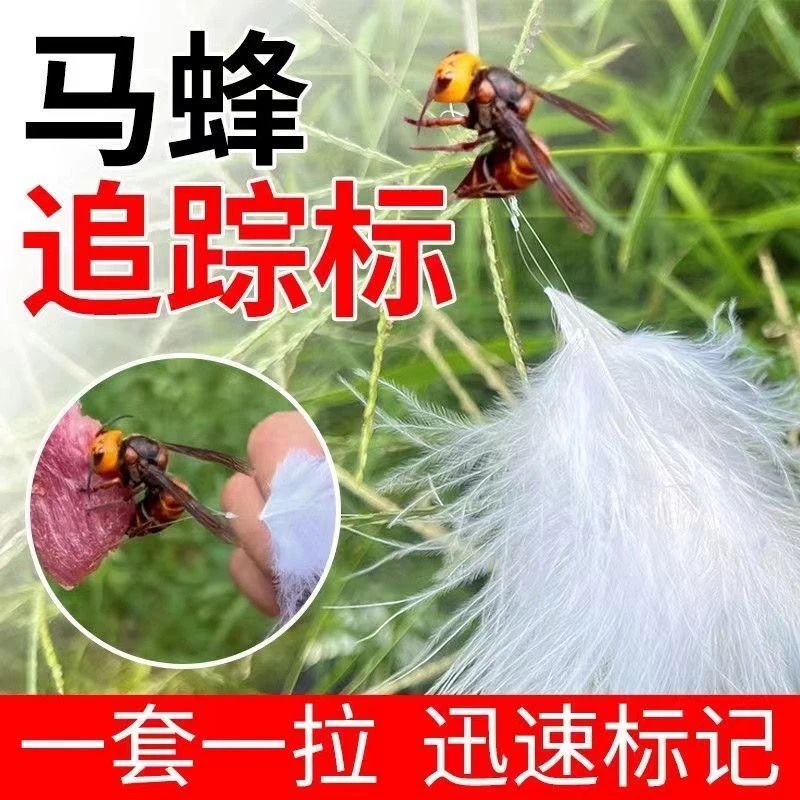 马蜂蜂标马蜂定位无人机追踪虎头金环红娘黑尾黄腰黑盾黄脚羽毛标
