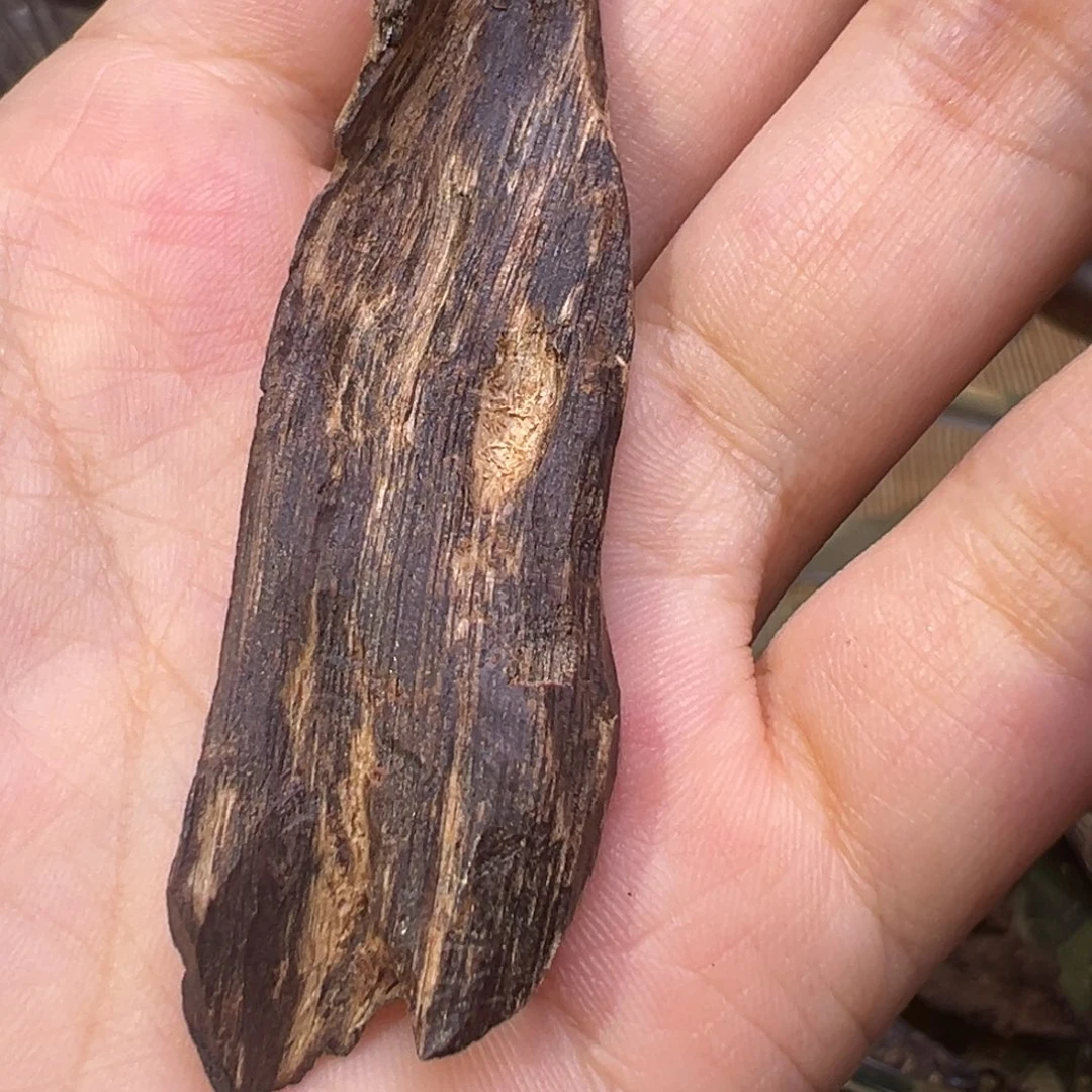 木海南大山沉水熟结老包头3.1克