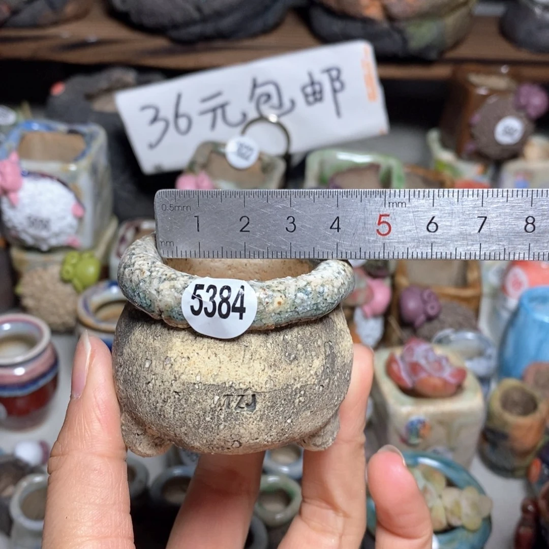 拍3送一个小礼物