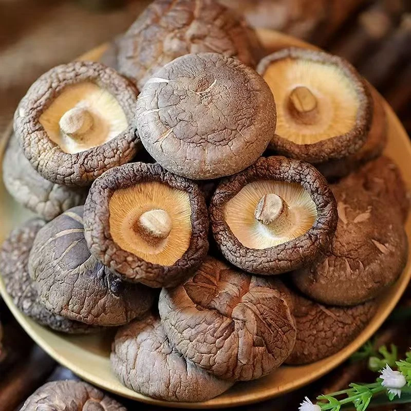 YY古田农家特产香菇干货肉厚无根适合炒菜炖煮的菌菇食材