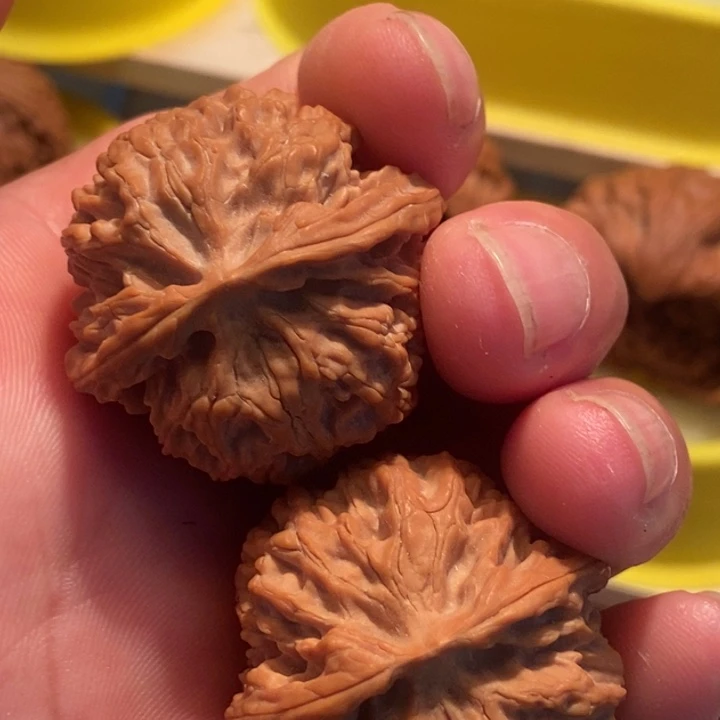 官方网站发布消息显示