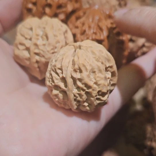 文玩核桃吊坠3对核桃