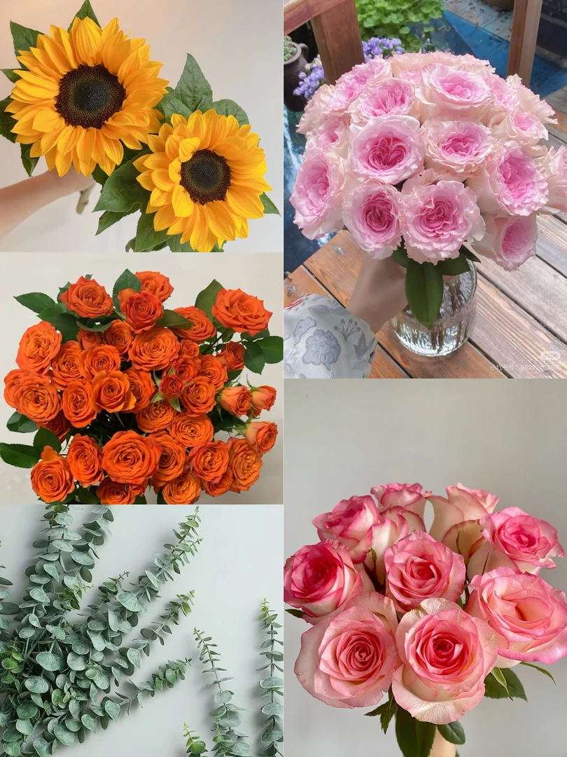 【艾莎洛神玫瑰橙芭比组合】艾莎洛神玫瑰橙芭比组合 云南基地直发