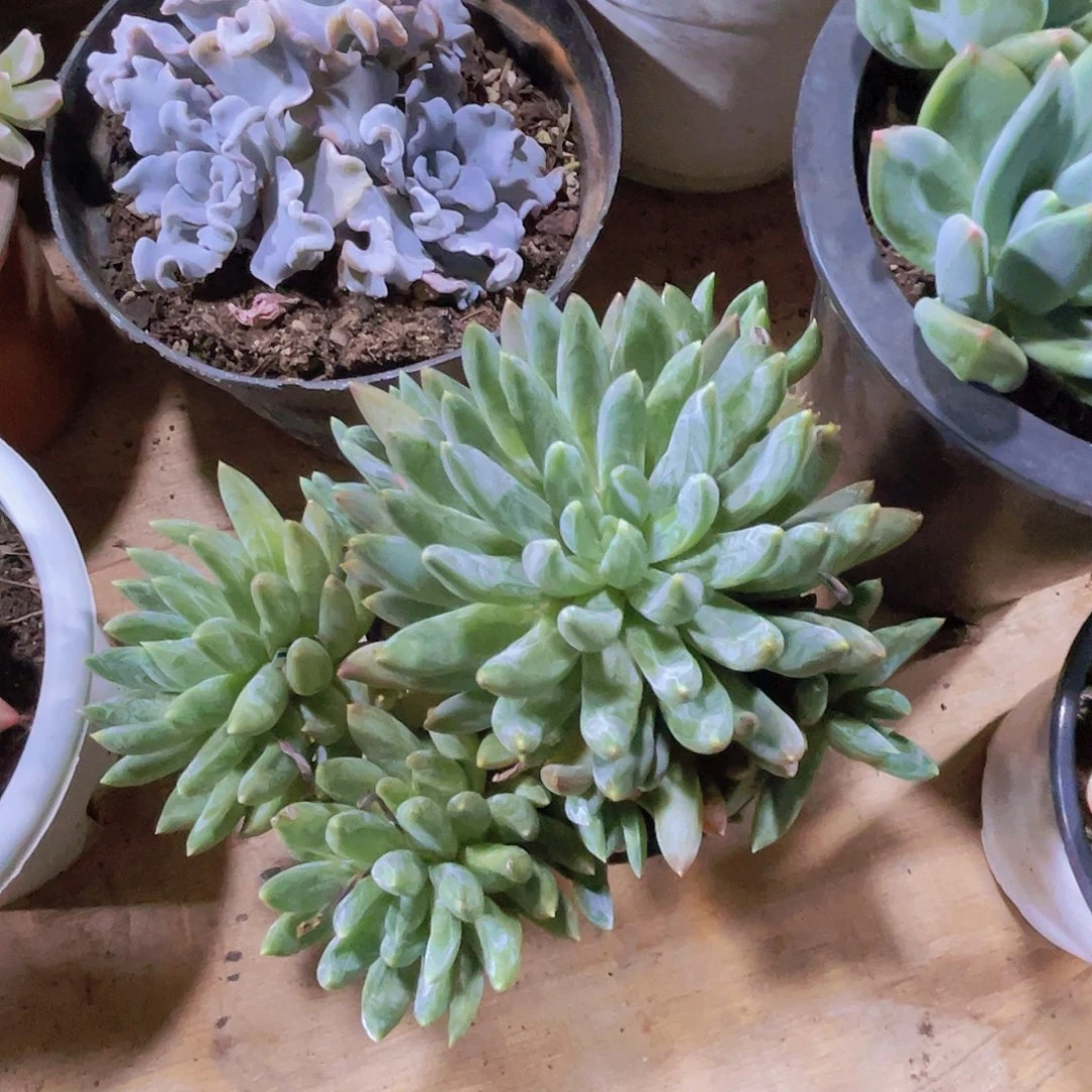 乖***宝0000000000000000097