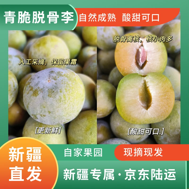 【新疆包邮】新疆脱骨青脆李自然成熟现摘现发酸甜可口应季新鲜水果