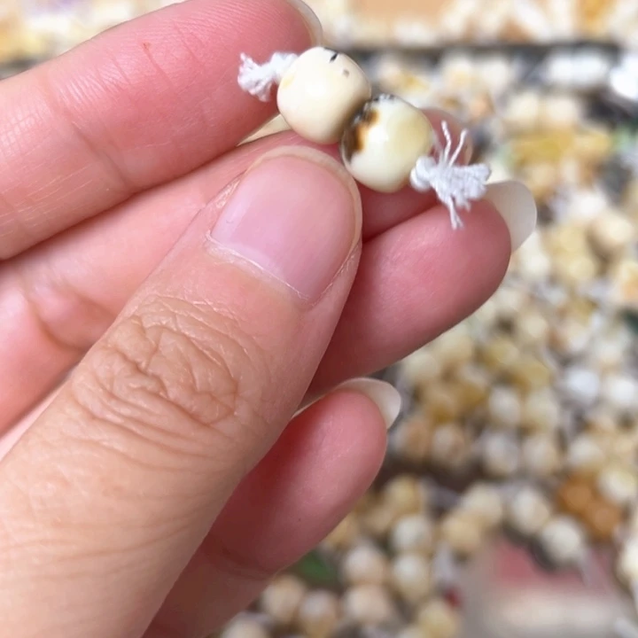 裸石蜜蜡未镶嵌8.5mm一对