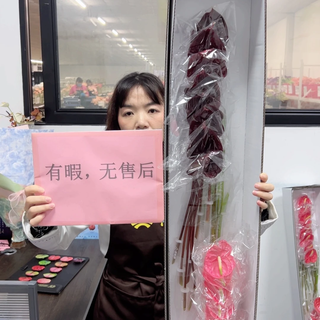 完全开放混色-16枝装无售后款！161