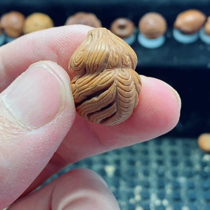 纯手工制作龙纹葫芦