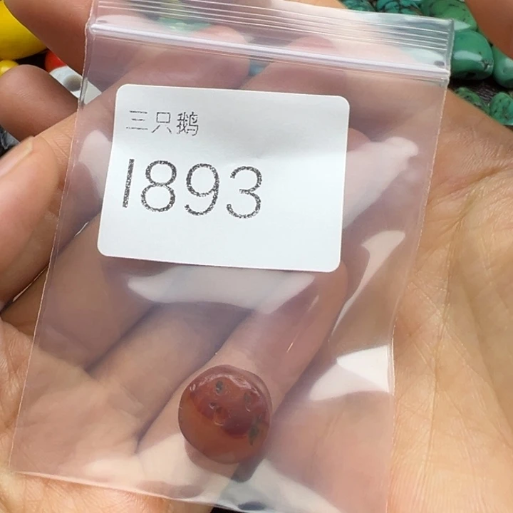 王***人吊坠菩提根/象牙果