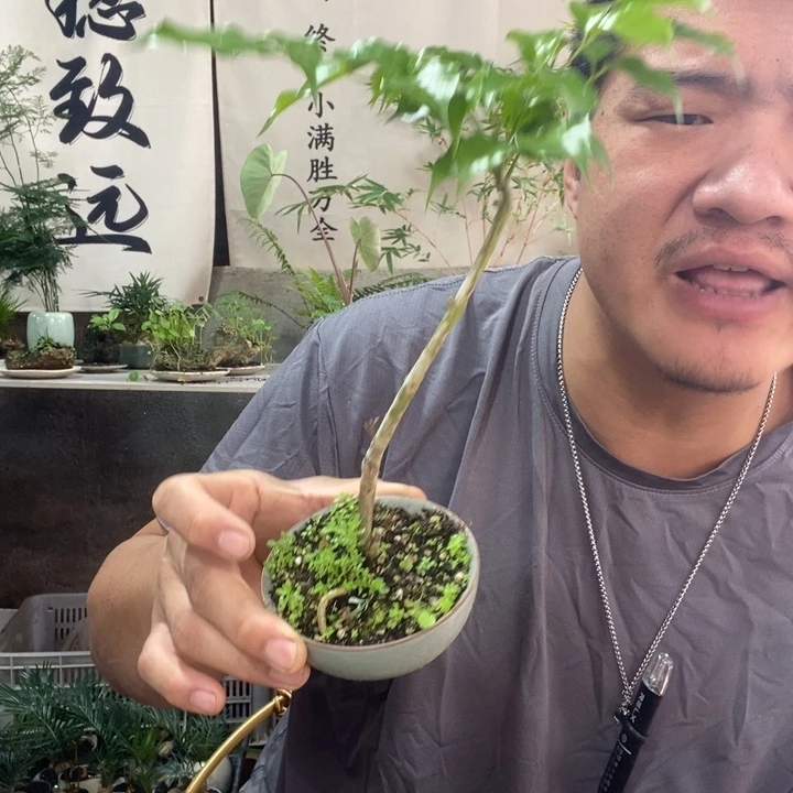 @***欧以实际为准退款拉黑拉黑67