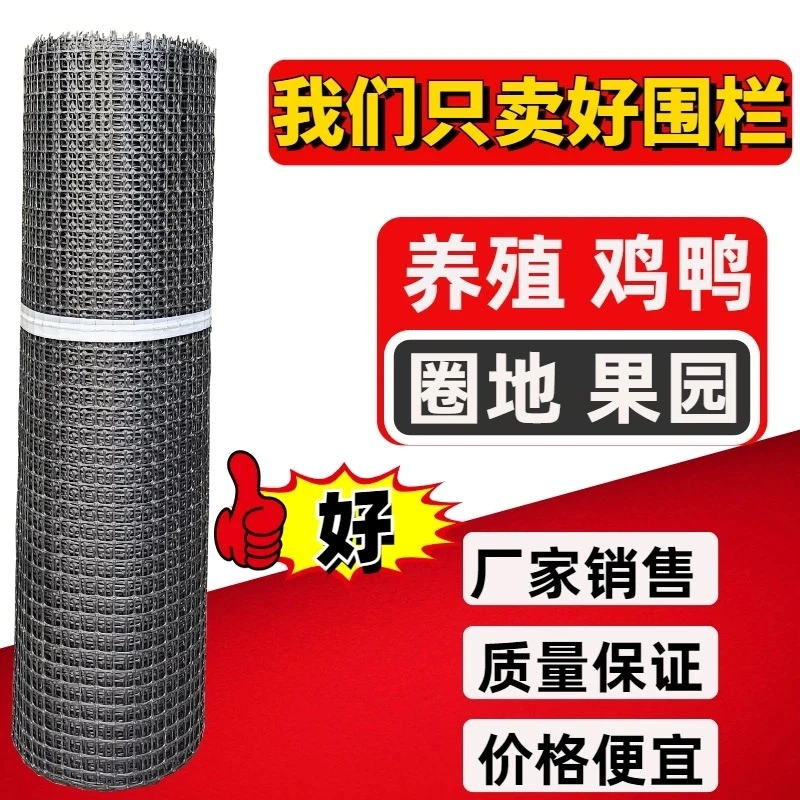 塑料隔离养殖网鱼塘河道防护黑色圈玉米围栏道路施工双向土工格栅